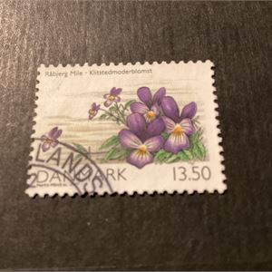 Annoncebillede