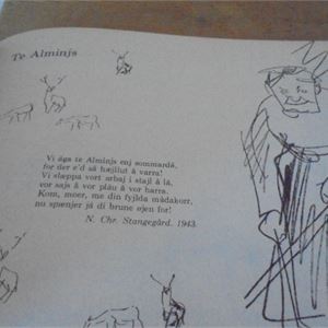 Annoncebillede